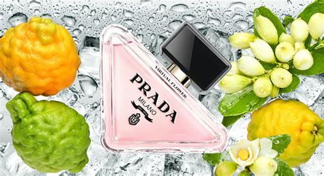 Prada Paradoxe Virtual Flower